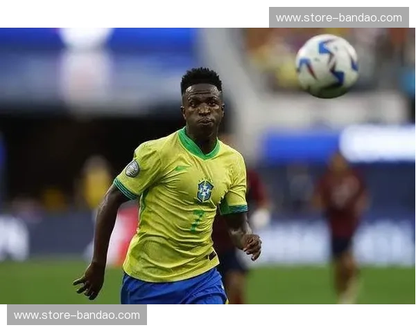 美洲杯国家队：南美激情之魂，绿茵场上的荣耀与狂欢