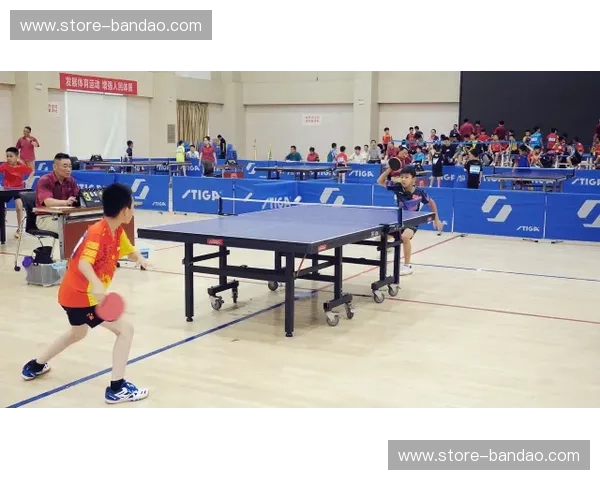 前瞻乒乓球:未来之拍,精彩先行 前瞻乒乓球:未来之拍,精彩先行